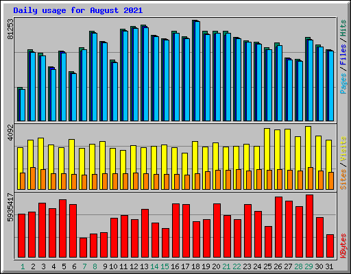 Daily usage for August 2021