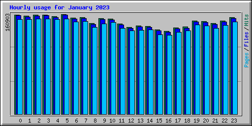 Hourly usage for January 2023