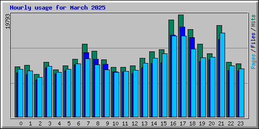 Hourly usage for March 2025