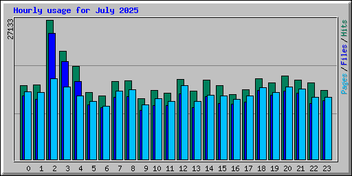Hourly usage for July 2025