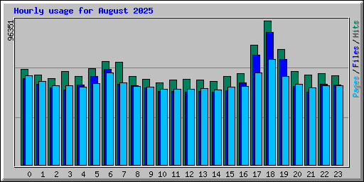 Hourly usage for August 2025