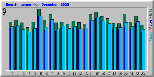 Hourly usage for December 2025