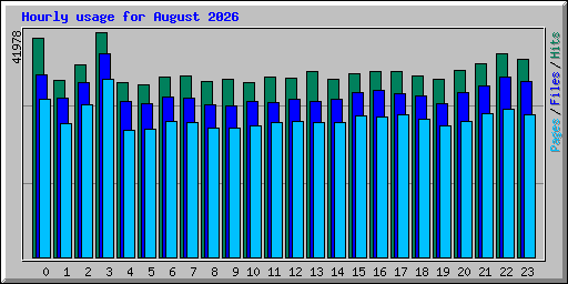 Hourly usage for August 2026